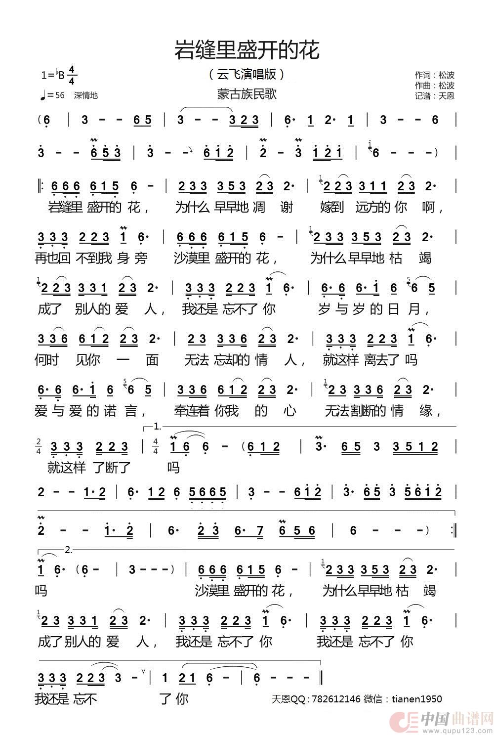 岩缝里盛开的花 (1)：岩缝里盛开的花 云飞.jpg