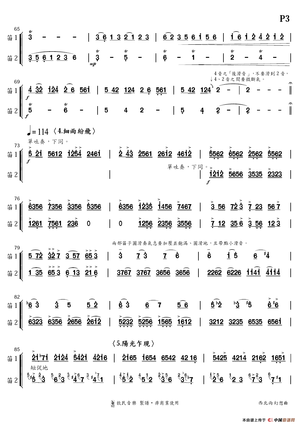 西北雨幻想曲（双笛+民族乐团）(1)：3.PNG