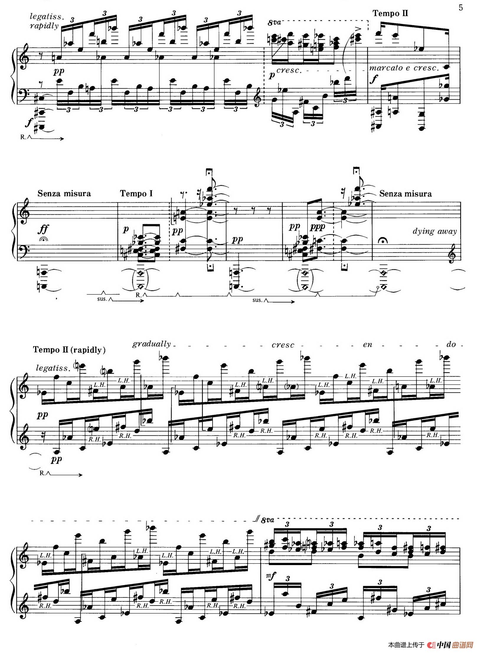 Rain Tree Sketch （雨树素描）(1)：004.jpg