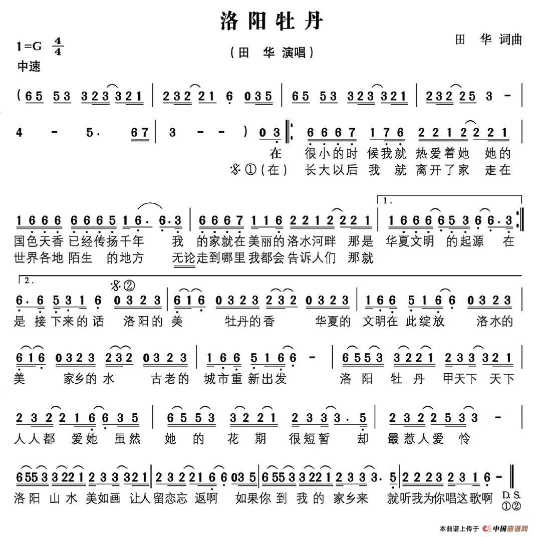 洛阳牡丹(1)：图片 (81).jpg