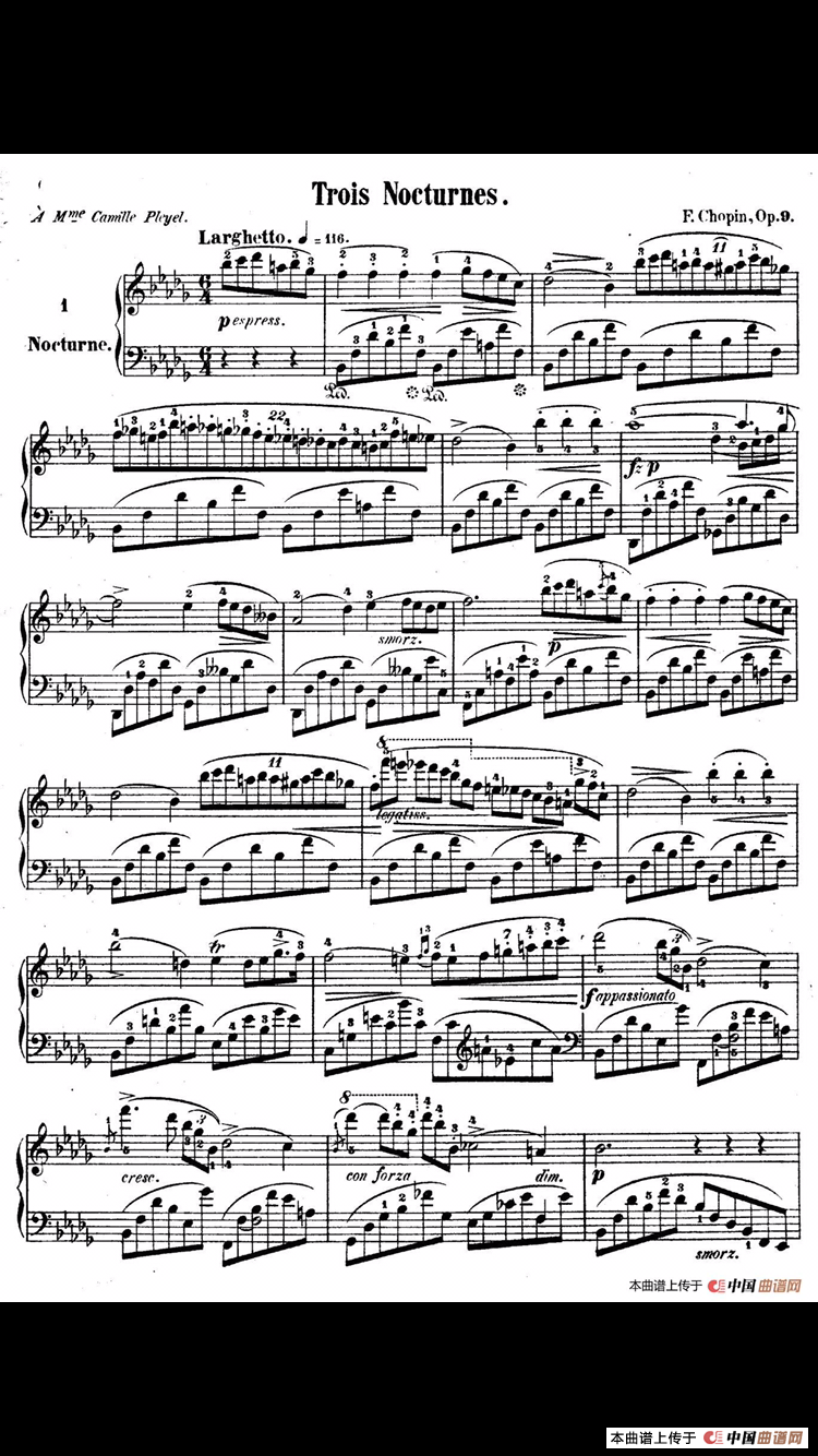 夜曲（献给卡米尔 普莱耶尔夫人）(1)：89B05EB4-364C-42B3-ACF8-FB31A094621C.png