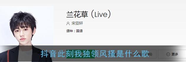 �˿��Ҷ����ɦ��ʲô��